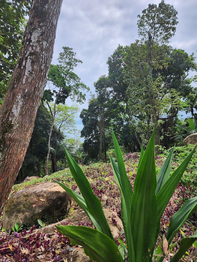 Bangalô Sol: refúgio c/ vista incrível em Ilhabela