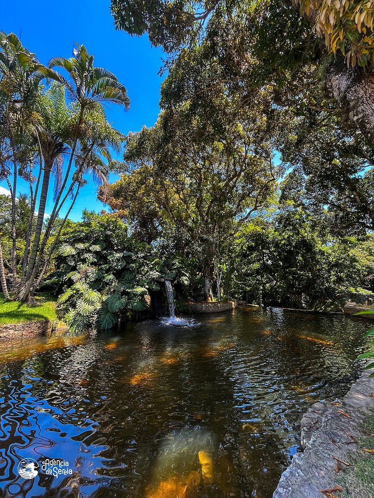 Casa Ilhabela c cachoeira no quintal e praia a 50m